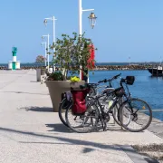 Visite Guidée : Marseillan Entre Vignobles Et étang