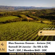 Visite Guidée Mas De Dumas Gassac