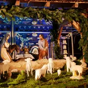 Visite guidée : Noël à la cathédrale par Gilles Fresson