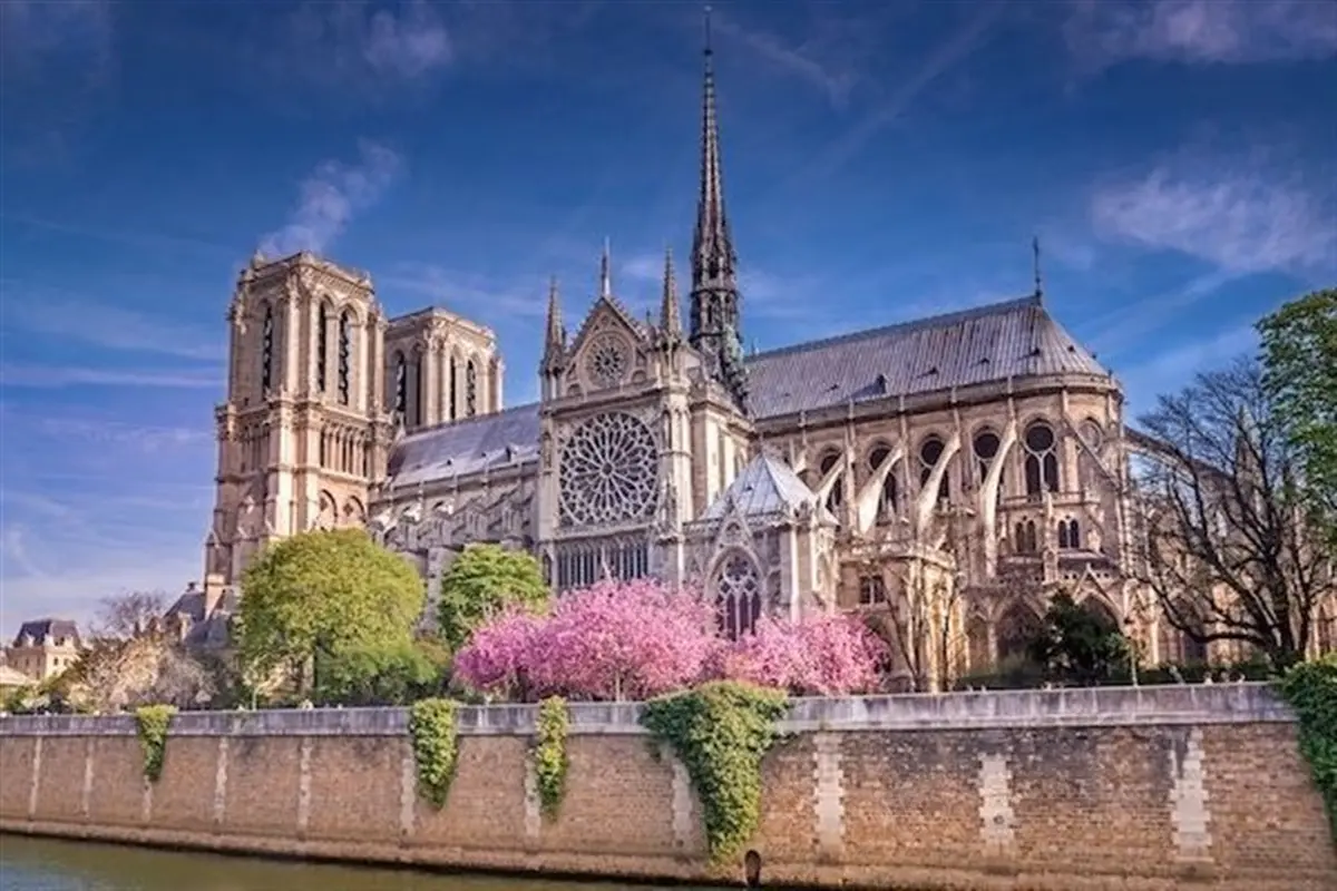 Visite guidée : Notre-Dame de Paris