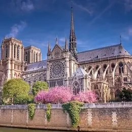 Visite guidée : Notre-Dame de Paris