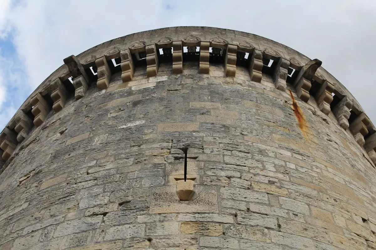 Visite guidée Périgueux : La Capsule temporelle
