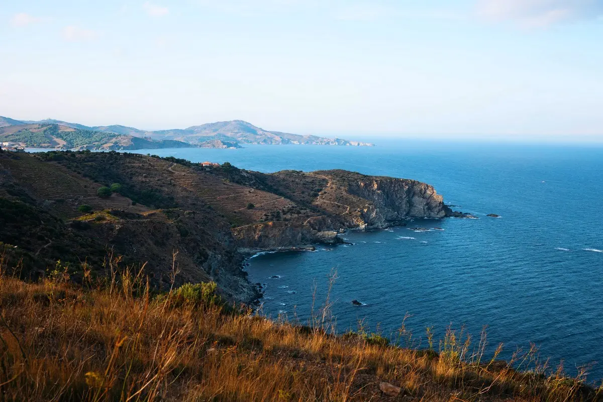 Visite Guidee Port-Vendres Et Les Bateaux De Legende