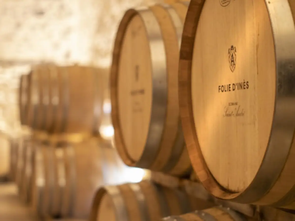 Visite guidée premium et dégustation de vin à Mèze (34)