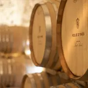 Visite guidée premium et dégustation de vin à Mèze (34)