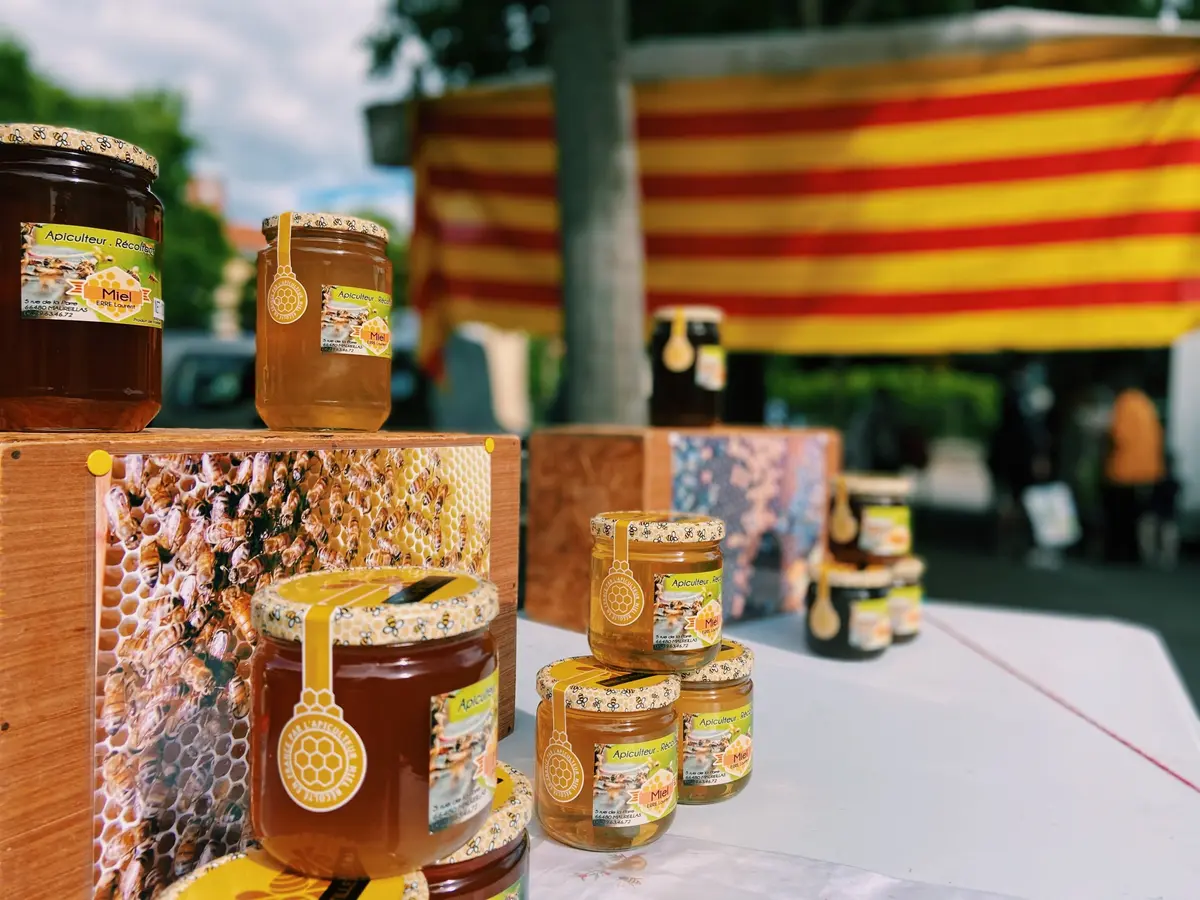 Visite Guidee Sorede - Balade Insolite