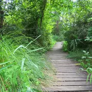 Visite guidée : Sur les traces du blaireau !