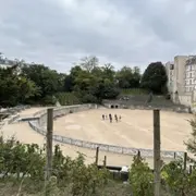 Visite guidée Sur les traces du Paris antique