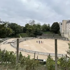 Visite guidée Sur les traces du Paris antique
