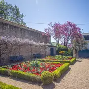 Visite Guidée Tout Injalbert En Petit Train