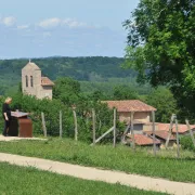 Visite guidée '' Une découverte, entre nature et histoire ''