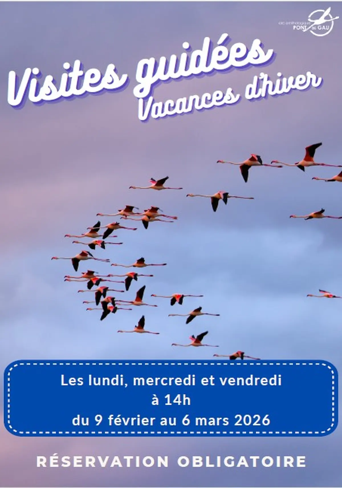 Visite Guidée Vacances d'Hiver