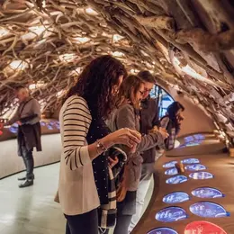 Visite Immersive aux Caves du Louvre