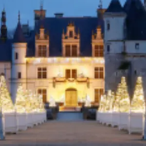 Visite inédite de Noël