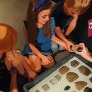 Visite Interactive - La Roulotte De La Préhistoire