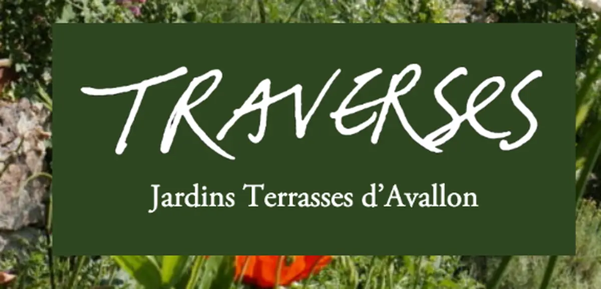 Visite jardins terrasses - Le petit peuple des mares