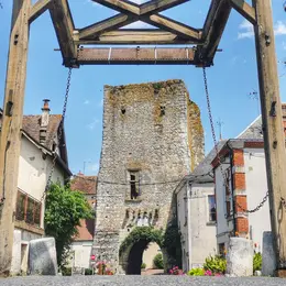 Visite jeune public de la cité médiévale