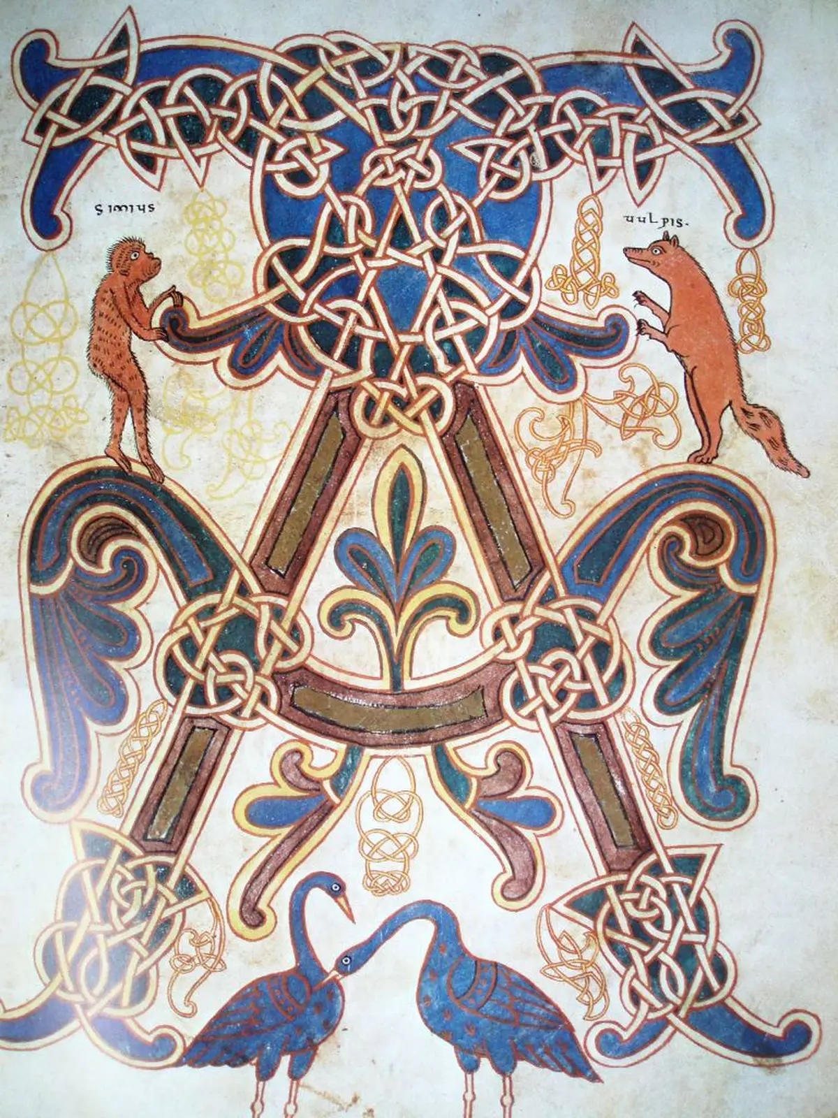 Visite La Nature dans le Beatus