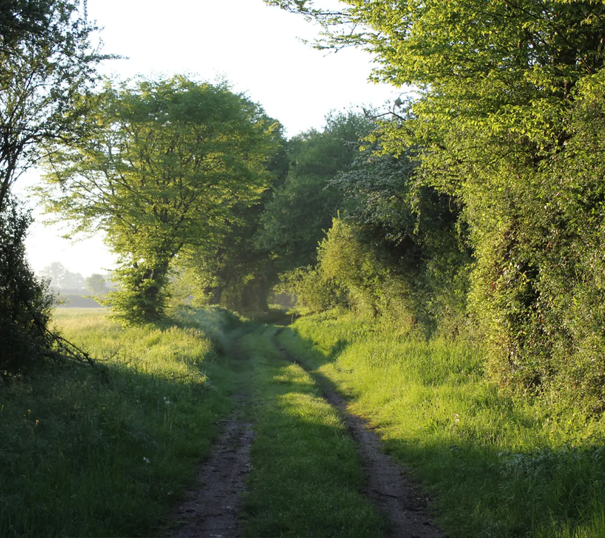 Visite Le bocage aux aurores