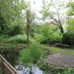 Visite Le jardin sauvage Saint-Vincent