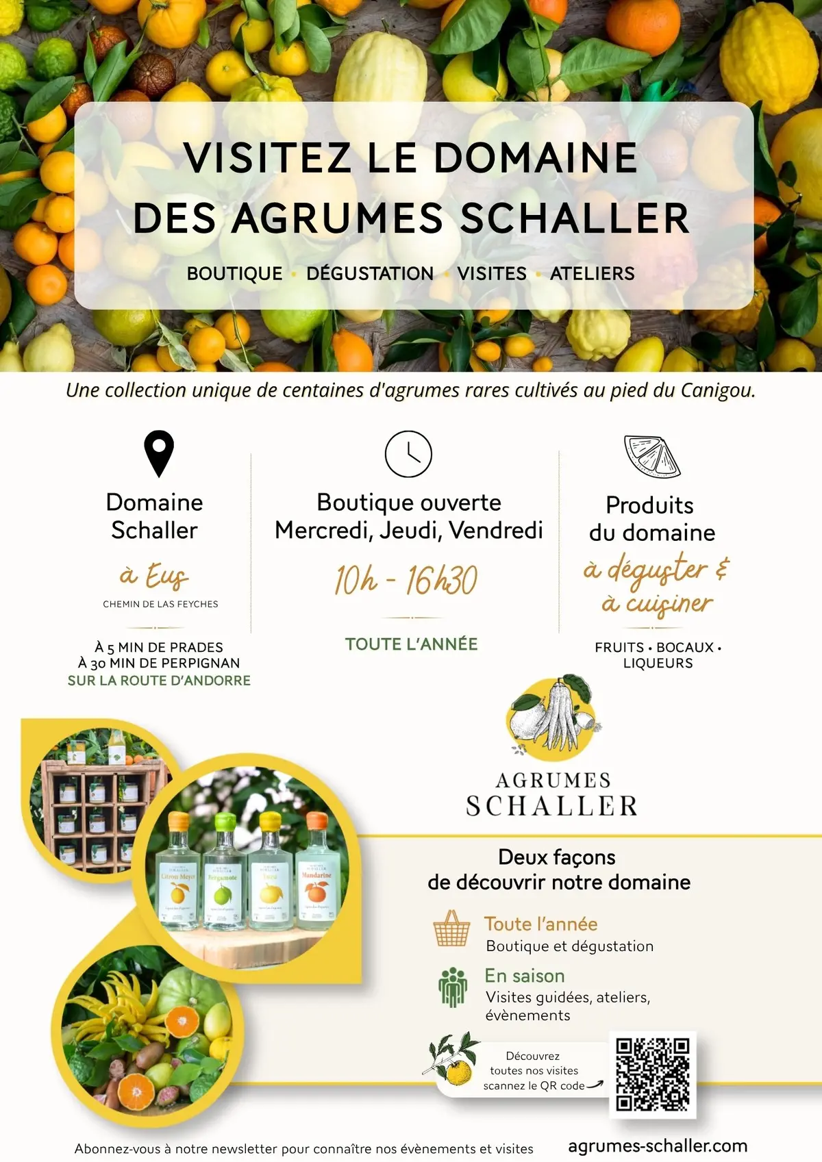 Visite Les Fruits D'Agrumes Rares