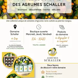 Visite Les Fruits D'Agrumes Rares