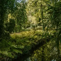 Visite libre de l’Arboretum d’Ilex