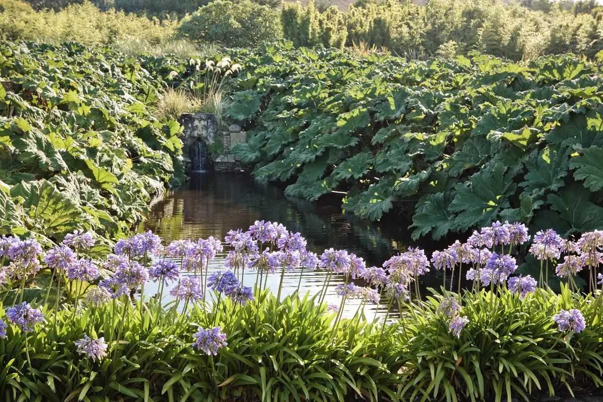 Visite libre du jardin botanique de Vauville