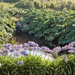 Visite libre du jardin botanique de Vauville