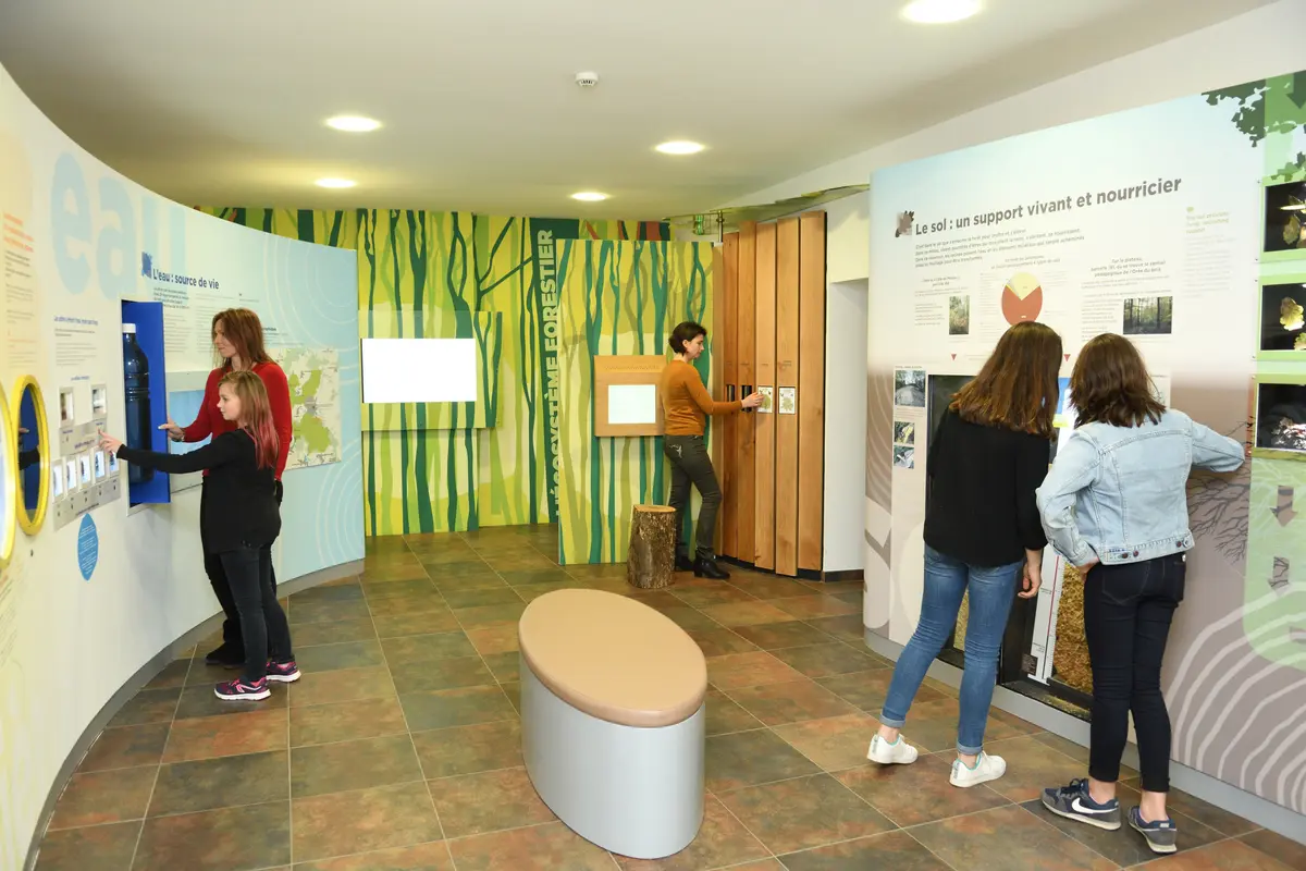 Visite libre du musée de la forêt