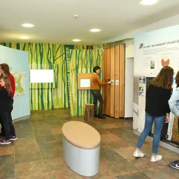 Visite libre du musée de la forêt