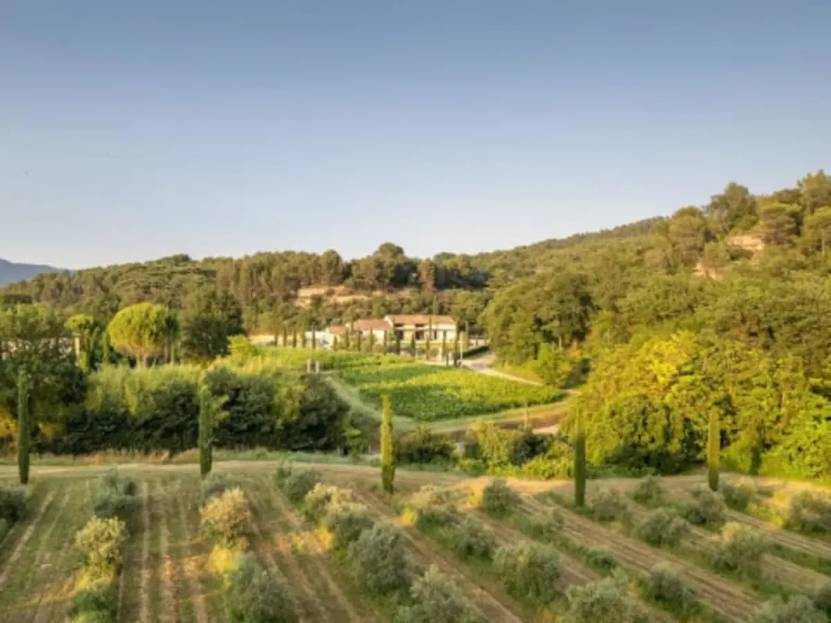 Visite libre et dégustation d'huiles d'olive à Cadenet (84)