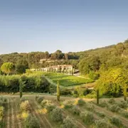 Visite libre et dégustation d'huiles d'olive à Cadenet (84)