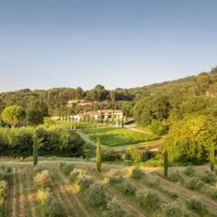 Visite libre et dégustation d'huiles d'olive à Cadenet (84)