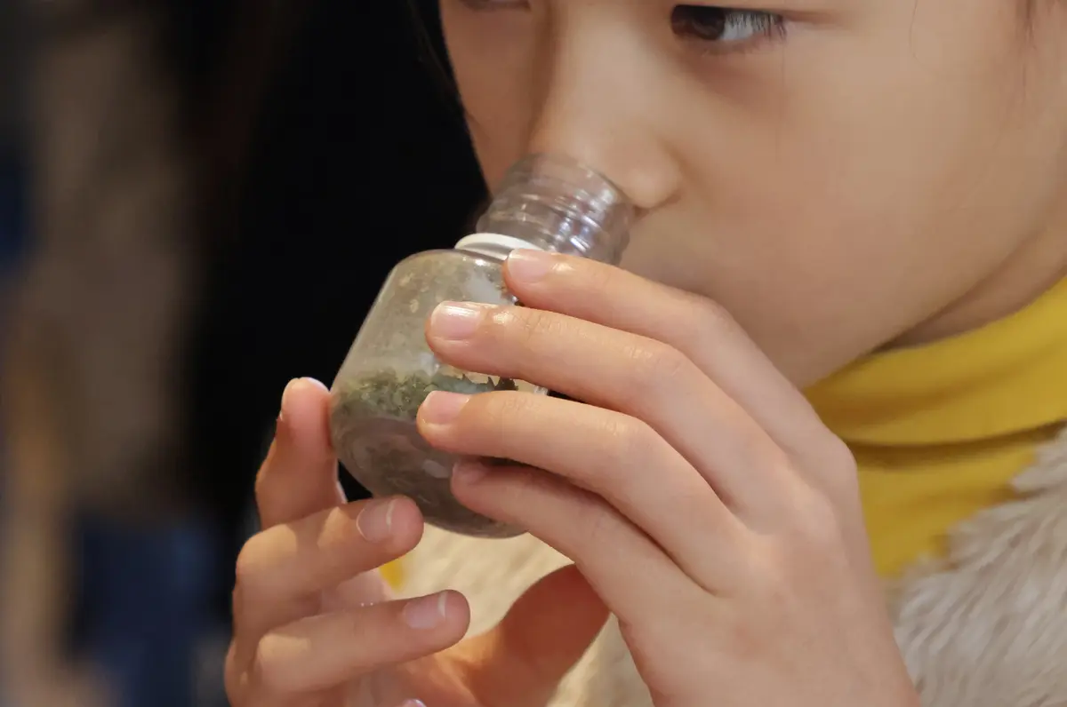 Visite ludique Nature et sens en éveil