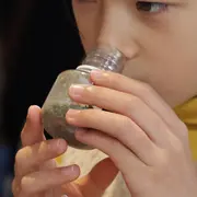 Visite ludique Nature et sens en éveil