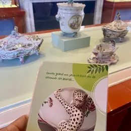 Visite ludique Safari nouveau