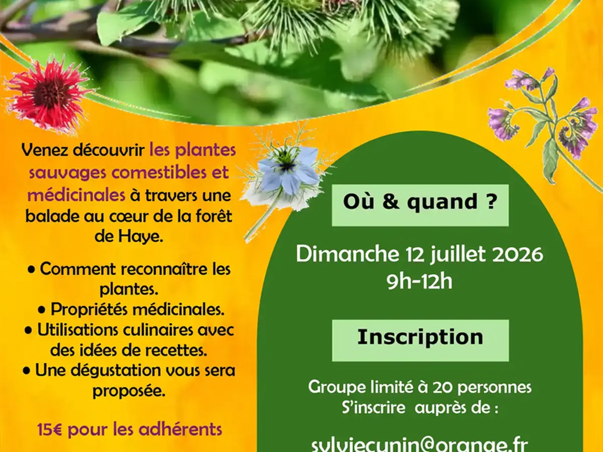 Visite nature - Les plantes sauvages comestibles et médicinales