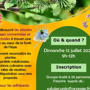 Visite nature - Les plantes sauvages comestibles et médicinales