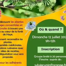 Visite nature - Les plantes sauvages comestibles et médicinales