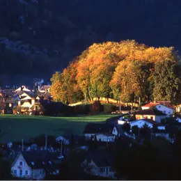 Visite nocturne du village d'Arudy