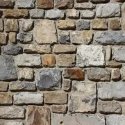 Visite patrimoine La Baleine