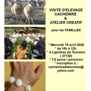 Visite pédagogique Cachemire