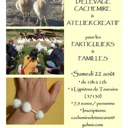 Visite pédagogique Cachemire et atelier créatif