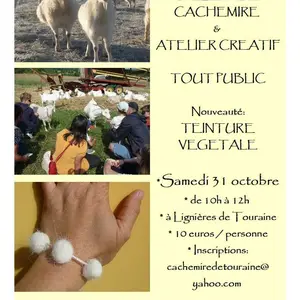 Visite pédagogique Cachemire et atelier créatif