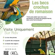 Visite pédagogique des Becs Crochus