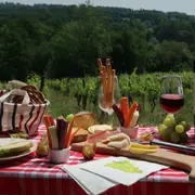 Visite Privée en 2cv dans les Vignes avec dégustation à Bordeaux