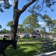 Visite privilège à l'hippodrome, un jour de courses