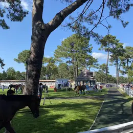 Visite privilège à l'hippodrome, un jour de courses