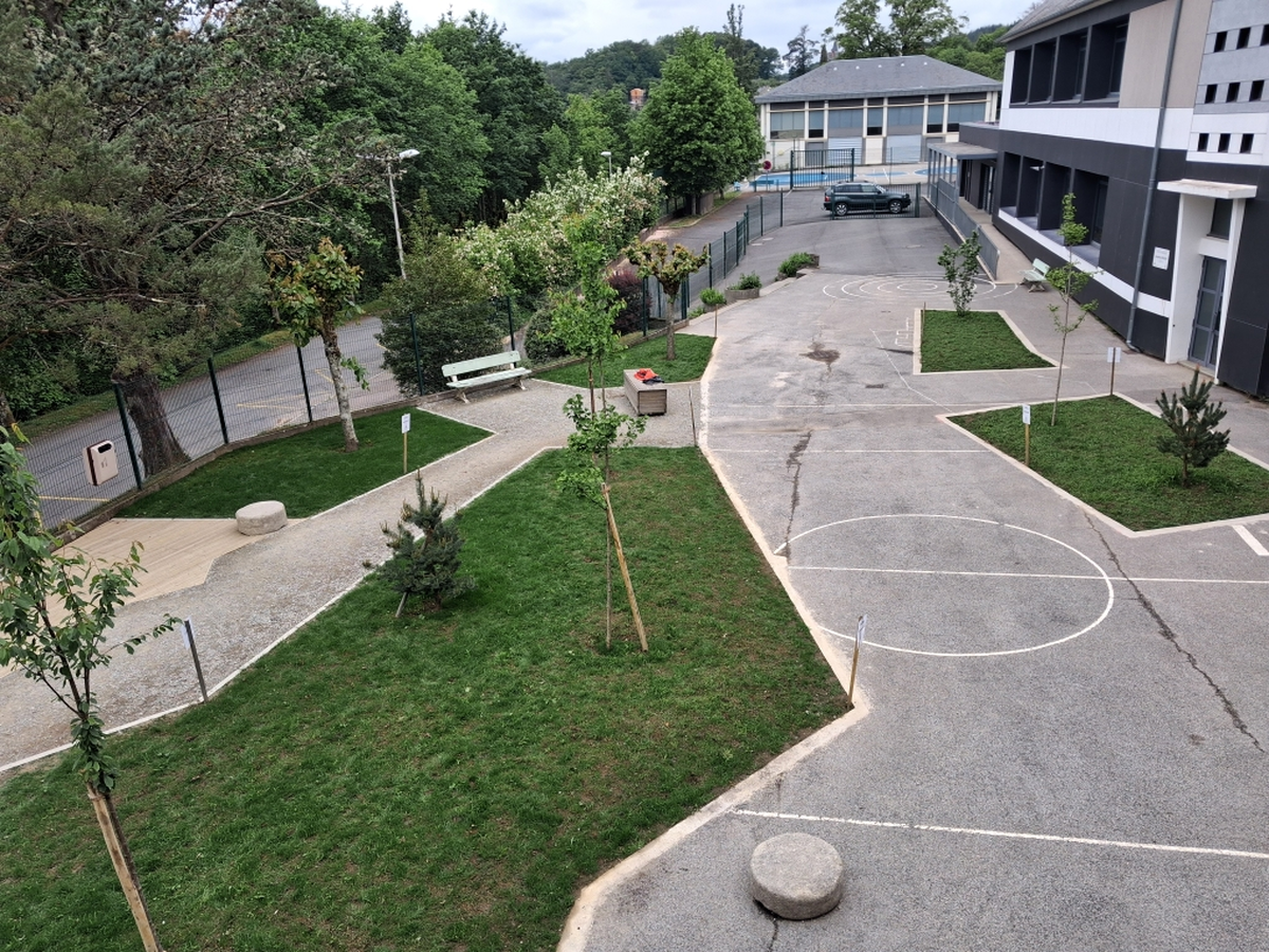 Visite-projet végétalisation des cours d'école